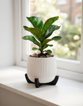 The "Horizon Ribbed" Planter Pot